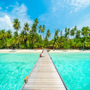 Beautiful tropical Maldives island with beach sea and coconut palm tree 1 1