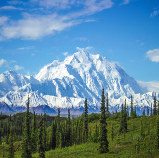 Early morning view of Mount Denali the tallest peak in continental North America. One of those rare moments when the peak is not covered in clouds 1